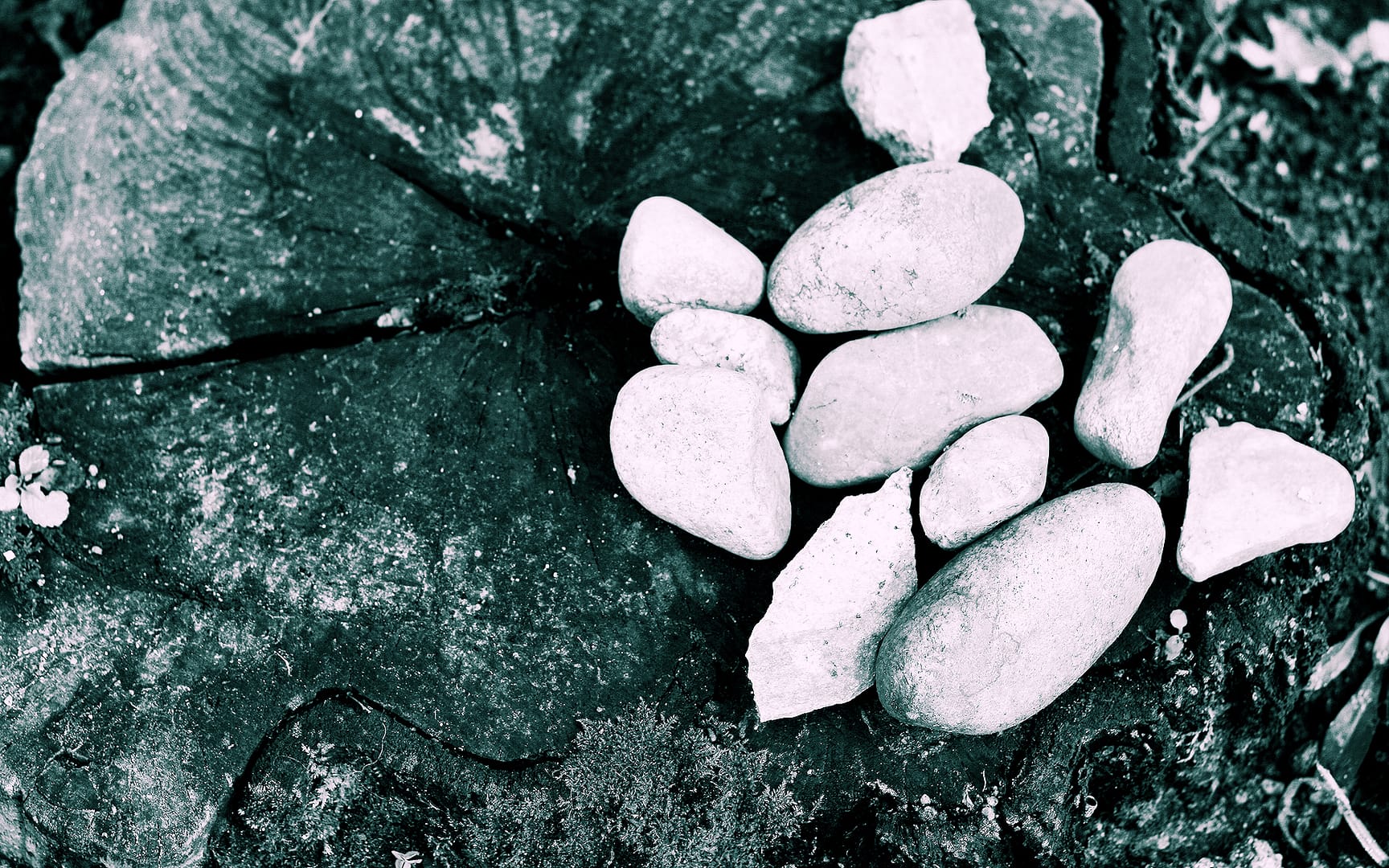 Sticks & Stones