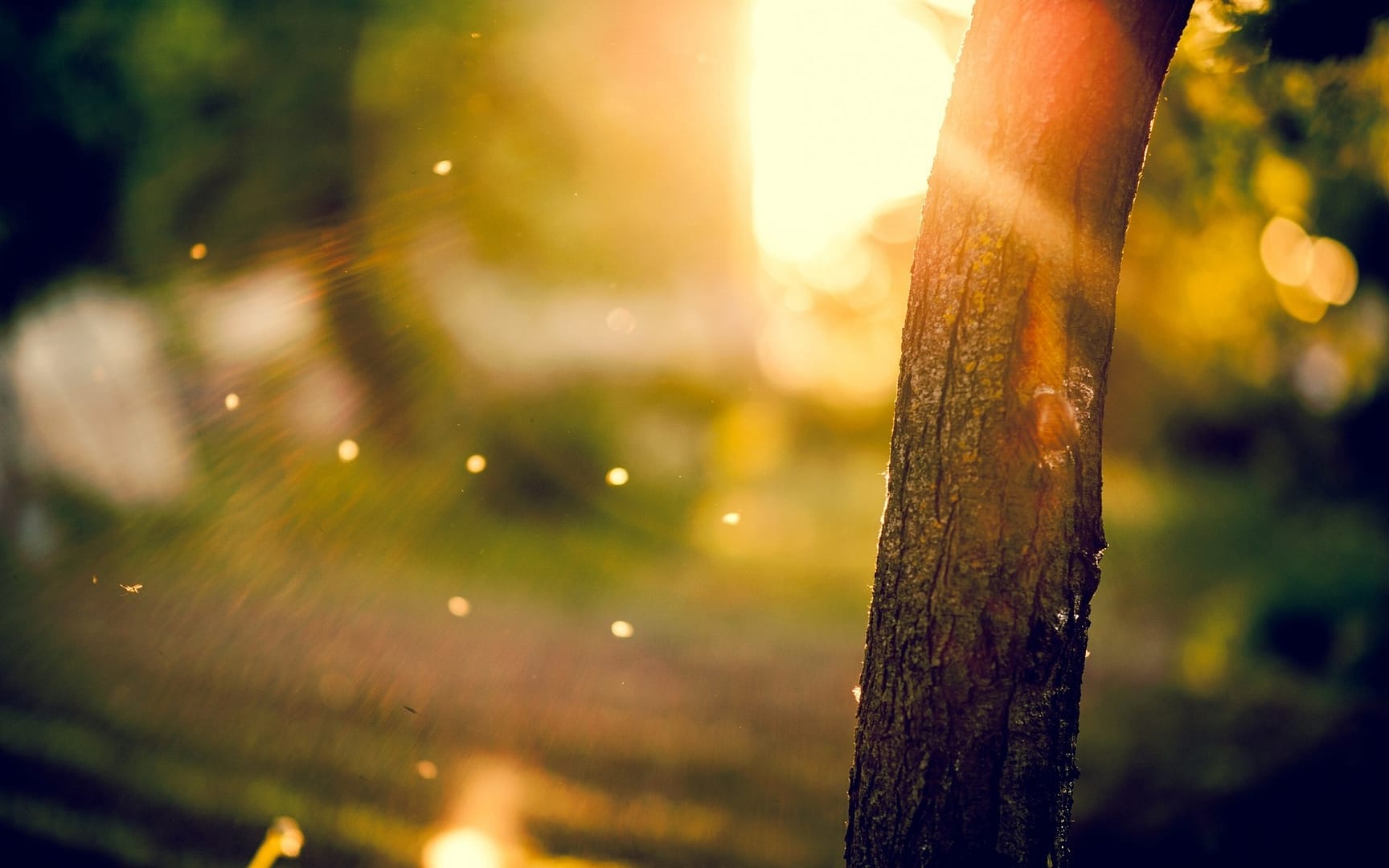 The Break of Sun