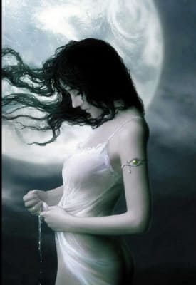 Moonlit Nights